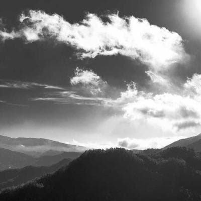 环境音：雨后清晨